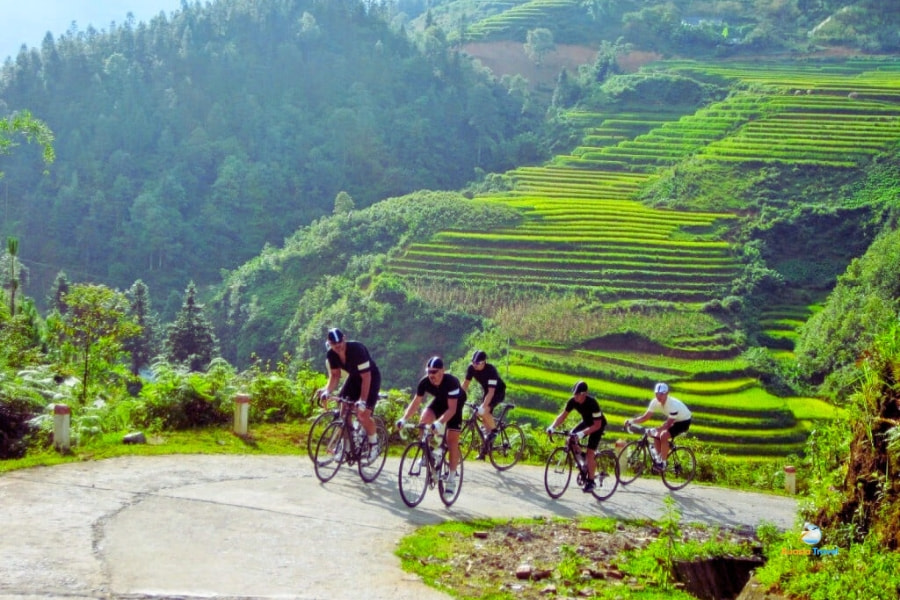 Cyclists riding past rice terraces in Sapa Vietnam – Auasia Travel